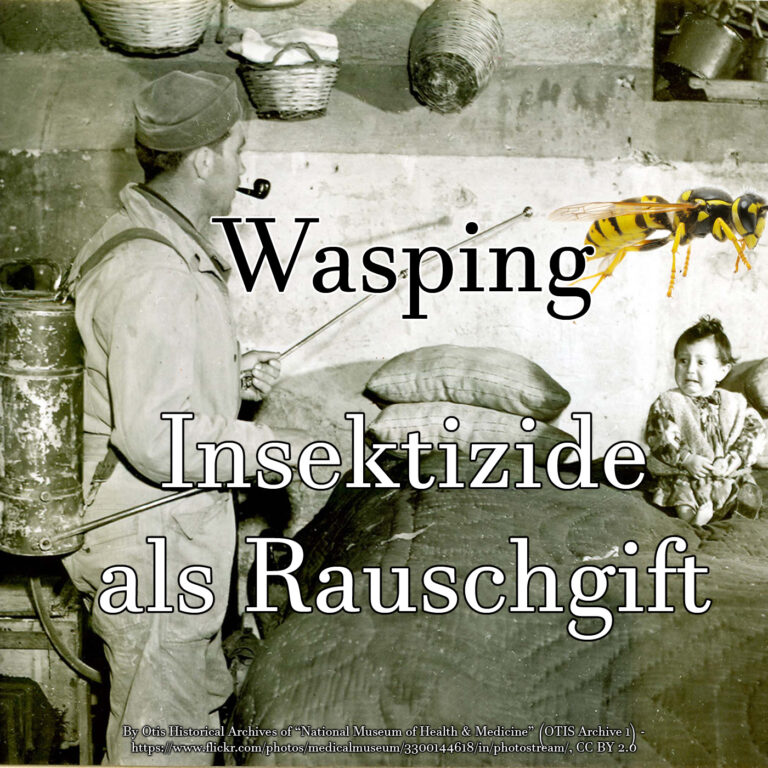 Rauschkultur #15: Wasping – Insektizide als Rauschmittel | Elendsdroge Wespen Gift